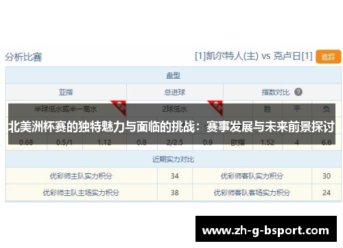 北美洲杯赛的独特魅力与面临的挑战：赛事发展与未来前景探讨