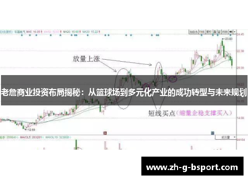 老詹商业投资布局揭秘:从篮球场到多元化产业的成功转型与未来规划 老詹商业投资布局揭秘:从篮球场到多元化产业的成功转型与未来规划