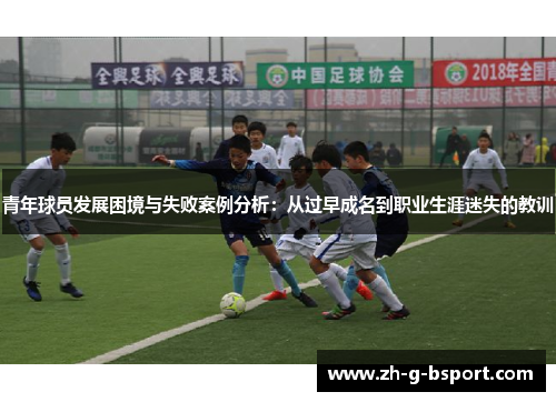 青年球员发展困境与失败案例分析：从过早成名到职业生涯迷失的教训