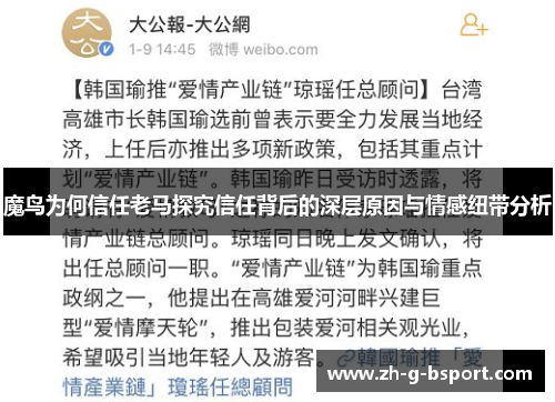 魔鸟为何信任老马探究信任背后的深层原因与情感纽带分析 魔鸟为何信任老马探究信任背后的深层原因与情感纽带分析