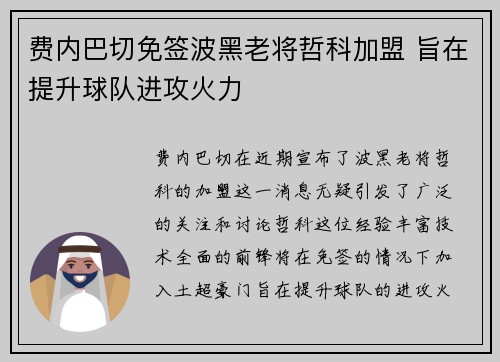 费内巴切免签波黑老将哲科加盟 旨在提升球队进攻火力 费内巴切免签波黑老将哲科加盟 旨在提升球队进攻火力